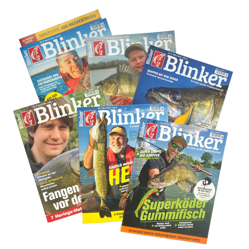 Blinker Halbjahresabo (6 Ausgaben)