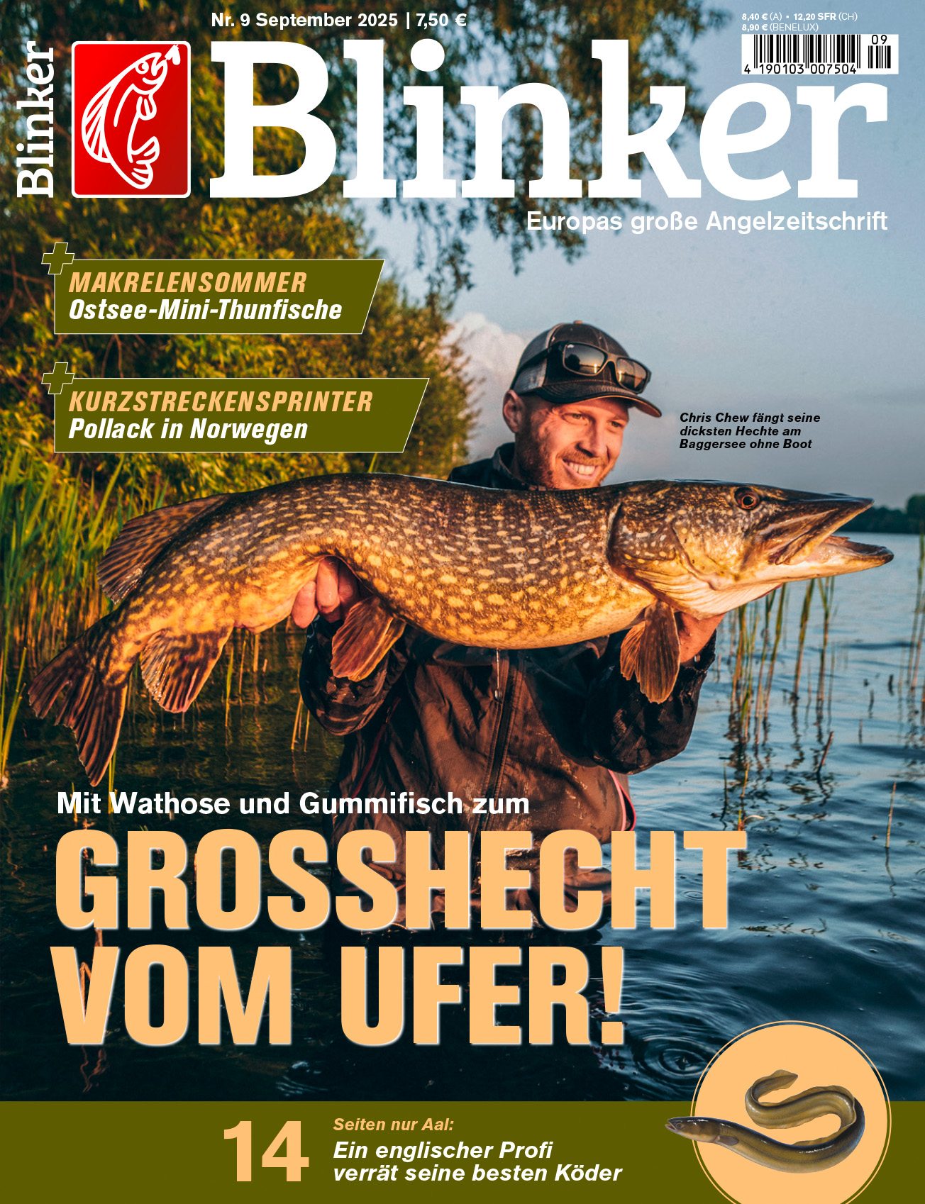Blinker 09/2025