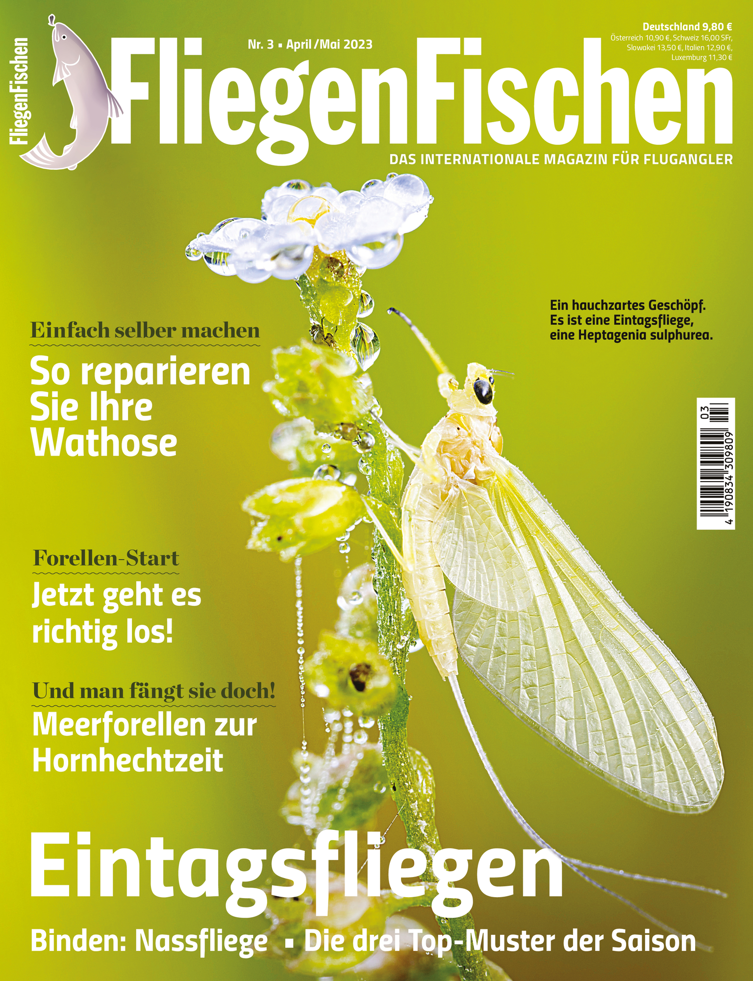 FliegenFischen 03/2023