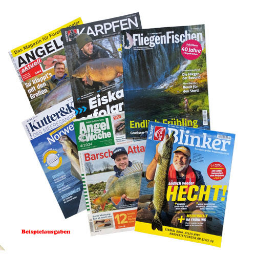 6 Magazine - 6 Leseproben