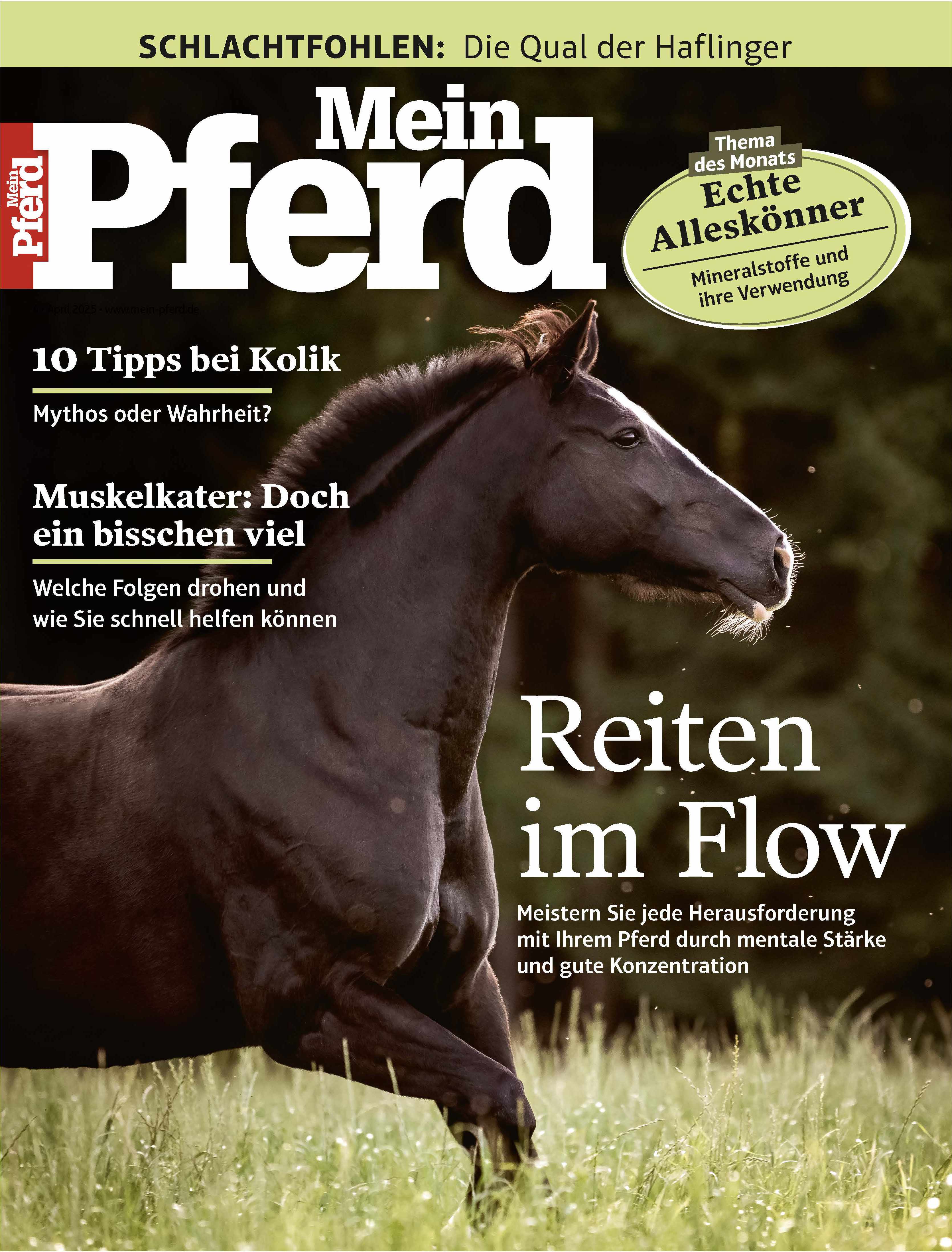 Mein Pferd 04/2025