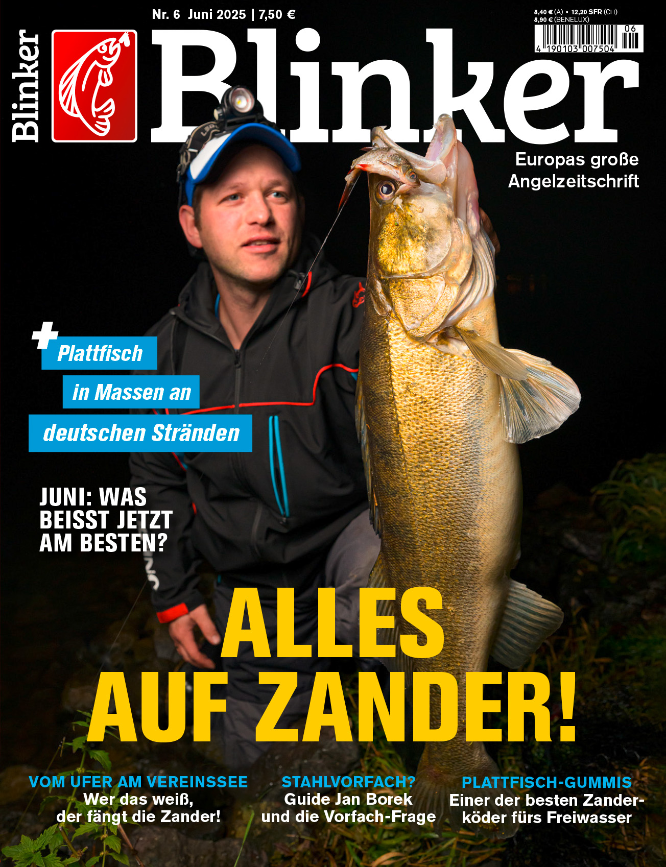 Blinker 06/2025