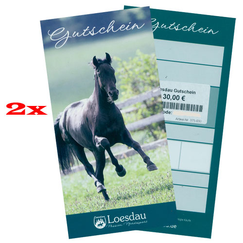 Loesdau Gutschein 2x 30 EUR