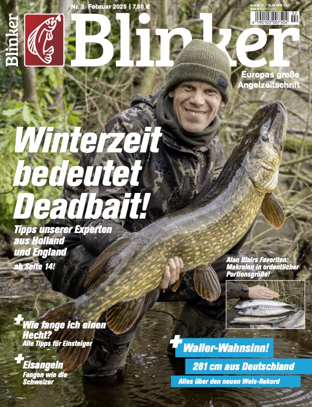 Blinker 02/2025