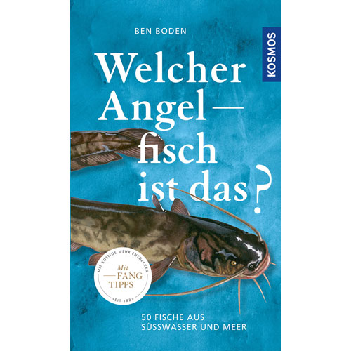 Welcher Angelfisch ist das?