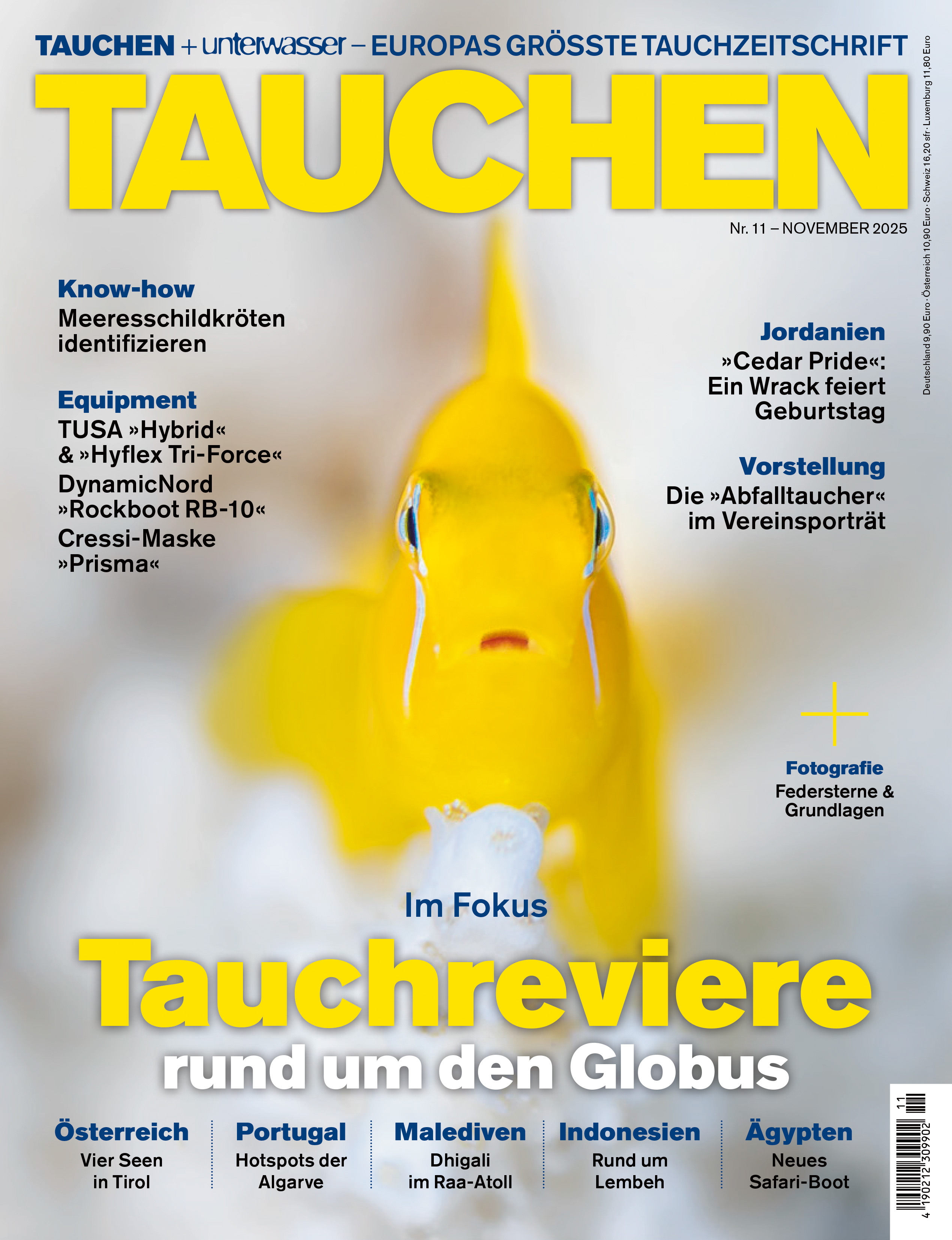 TAUCHEN 11/2025