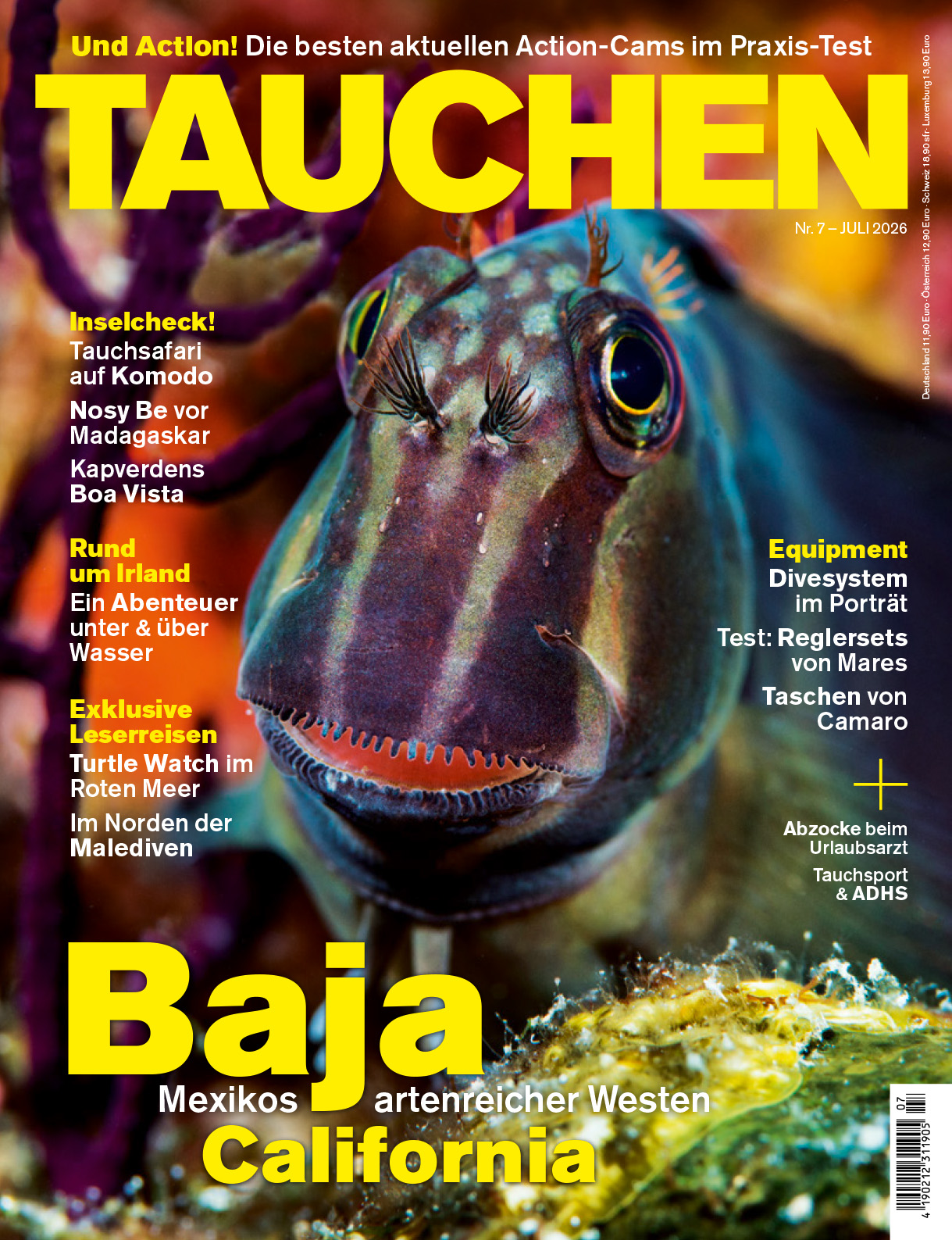 TAUCHEN 07/2026