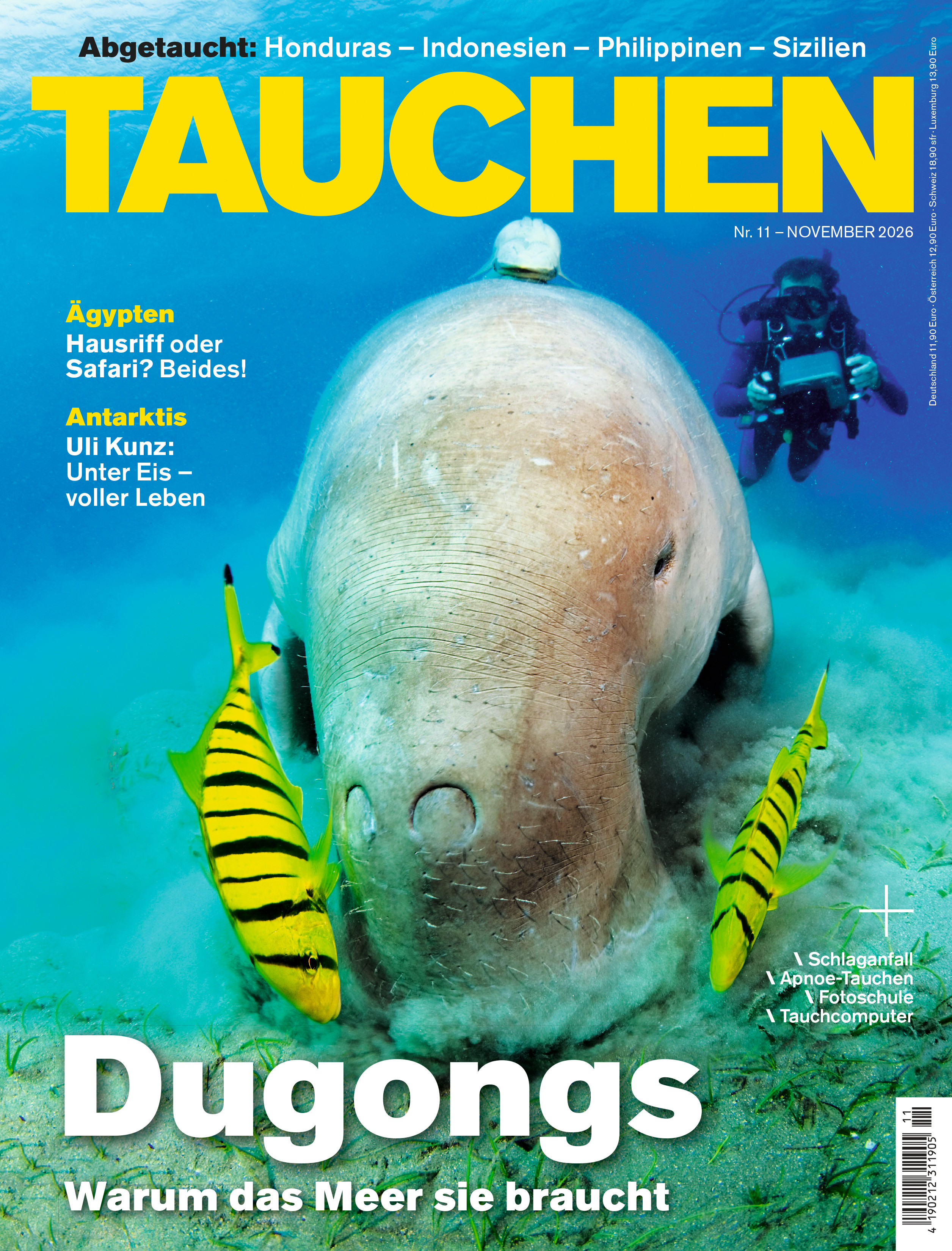 TAUCHEN 11/2026