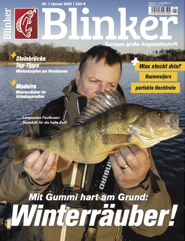 Blinker 01/2025