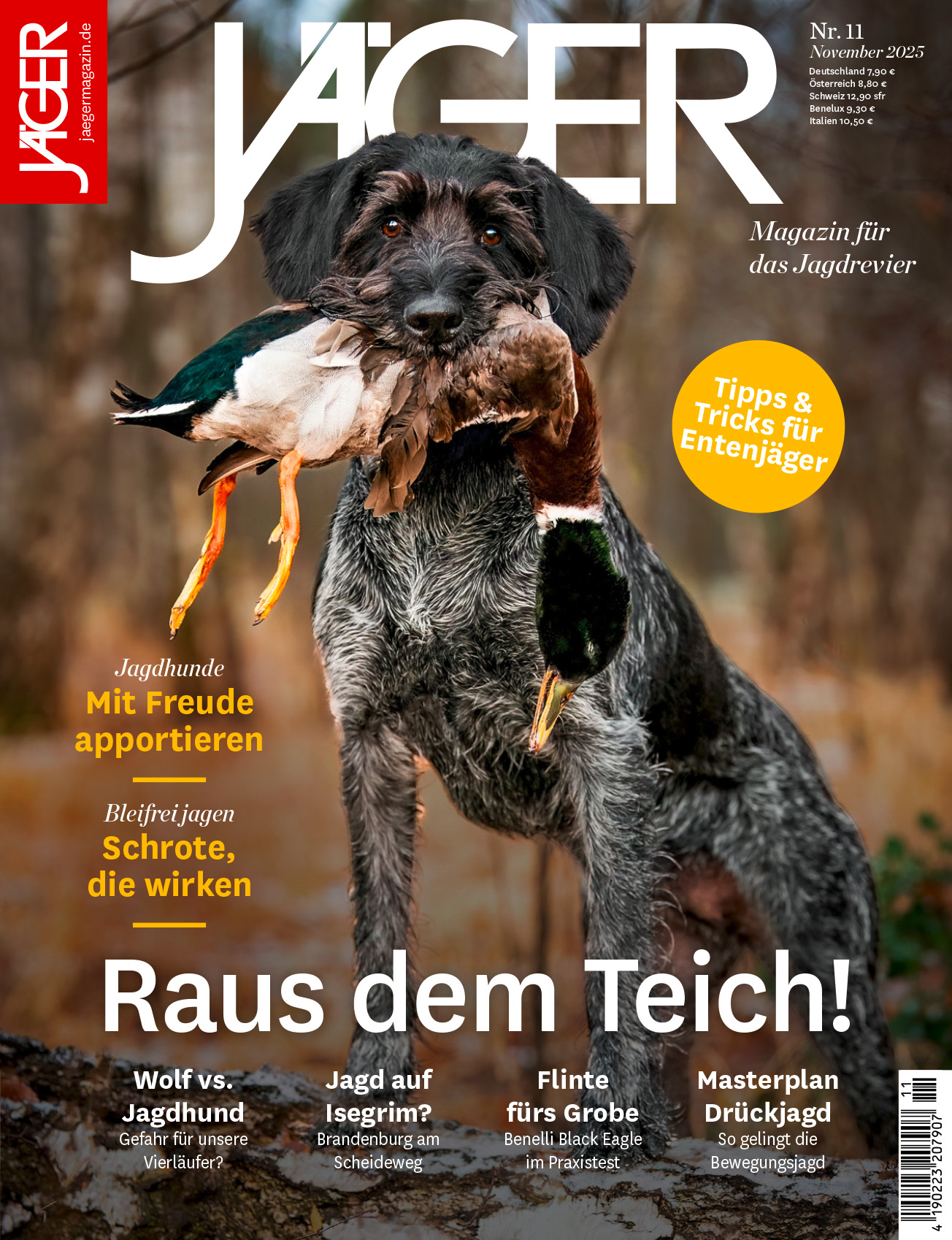 Studierende, Azubis und SchülerInnnen lesen günstiger Studierende, Azubis und SchülerInnnen lesen günstiger