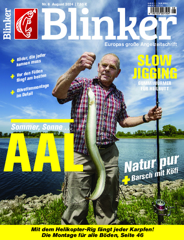 Blinker 08/2024